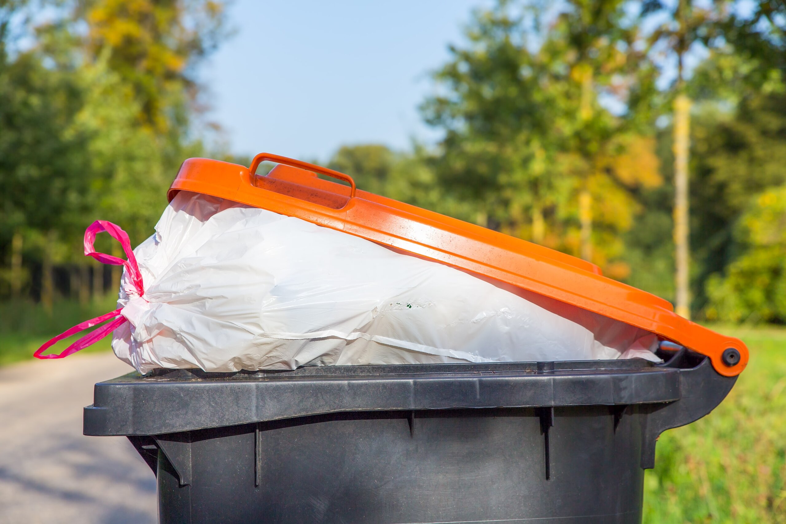 Weg met de stank: zo maak je je container echt goed schoon - Lees verder
